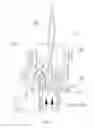 Fig. 06 - Method and device for realizing electric candle flame with dynamic visual effect