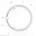 Fig. 01 - Light ring structure for vehicle lamp