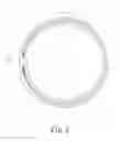 Fig. 03 - Light ring structure for vehicle lamp