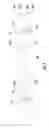 Fig. 08 - Concealed connection system for luminaires