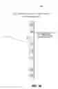 Fig. 11 - Evaporative cooling device and control system