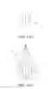 Fig. 11 - Arrow with nock and head alignment