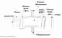 Fig. 01 - Electronic imaging flow-microscope for environmental remote sensing, bioreactor process monitoring, and optical microscopic tomography