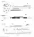 Fig. 03 - Multi-segment injection-capillary electrophoresis-mass spectrometry (MSI-CE-MS): A multiplexed screening platform and data workflow for chemical analysis