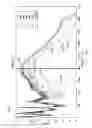 Fig. 20 - Quantitative texture measurement apparatus and method