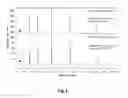 Fig. 07 - Method of packing chromatographic columns, packed chromatographic columns for use at high pressures and uses thereof