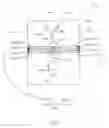 Fig. 03 - Device for analyzing biological substances in a test solution and production method