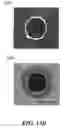 Fig. 22 - APPARATUSES AND METHODS FOR DETERMINING ANALYTE CHARGE