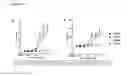 Fig. 12 - CELL BASED ASSAY TO MEASURE THE T-CELL STIMULATING CAPACITY OF ANTI-LAG3 ANTIBODIES AND OTHER AGENTS