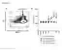 Fig. 13 - CELL BASED ASSAY TO MEASURE THE T-CELL STIMULATING CAPACITY OF ANTI-LAG3 ANTIBODIES AND OTHER AGENTS