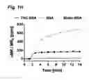 Fig. 08 - Method for detecting small molecule analytes using magnetoresistant sensors
