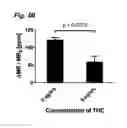 Fig. 16 - Method for detecting small molecule analytes using magnetoresistant sensors