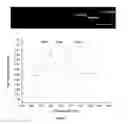 Fig. 07 - Magnetic platform for direct and multiplex immune-based detection of trace amount of protein biomarkers