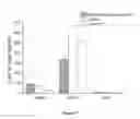 Fig. 21 - Magnetic platform for direct and multiplex immune-based detection of trace amount of protein biomarkers