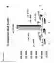 Fig. 18 - ASSAY PLATE AND USES THEREOF