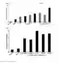Fig. 04 - Polymer Viral Compositions