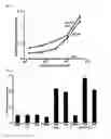 Fig. 05 - Polymer Viral Compositions