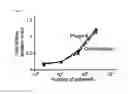 Fig. 06 - Polymer Viral Compositions