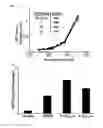 Fig. 10 - Polymer Viral Compositions