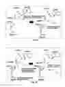 Fig. 02 - Covalent tethering of functional groups to proteins and substrates therefor