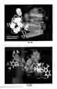 Fig. 06 - Covalent tethering of functional groups to proteins and substrates therefor