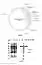 Fig. 07 - Covalent tethering of functional groups to proteins and substrates therefor