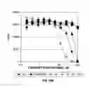 Fig. 18 - Covalent tethering of functional groups to proteins and substrates therefor