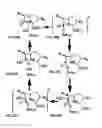 Fig. 19 - Covalent tethering of functional groups to proteins and substrates therefor