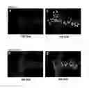 Fig. 43 - Covalent tethering of functional groups to proteins and substrates therefor