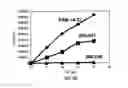 Fig. 62 - Covalent tethering of functional groups to proteins and substrates therefor