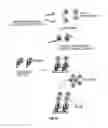Fig. 67 - Covalent tethering of functional groups to proteins and substrates therefor
