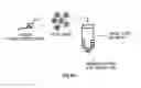 Fig. 68 - Covalent tethering of functional groups to proteins and substrates therefor