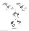 Fig. 69 - Covalent tethering of functional groups to proteins and substrates therefor