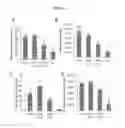 Fig. 14 - EARLY DETECTION OF PREECLAMPSIA