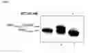 Fig. 02 - Methods and reagents for analyzing protein-protein interfaces