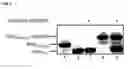 Fig. 03 - Methods and reagents for analyzing protein-protein interfaces