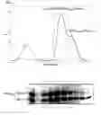 Fig. 06 - Methods and reagents for analyzing protein-protein interfaces