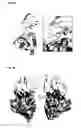 Fig. 10 - Methods and reagents for analyzing protein-protein interfaces
