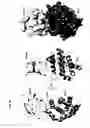 Fig. 13 - Methods and reagents for analyzing protein-protein interfaces