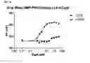 Fig. 20 - Methods and reagents for analyzing protein-protein interfaces