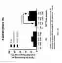 Fig. 05 - Methods for treating inflammatory and other diseases and the use of biomarkers as predictors of clinical sensitivity to treatment with apremilast