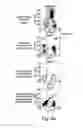 Fig. 05 - METHOD AND DEVICE FOR STABILIZING OF PROTEINS
