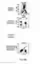 Fig. 11 - METHOD AND DEVICE FOR STABILIZING OF PROTEINS