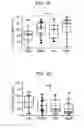 Fig. 05 - Method for diagnosing fibromyalgia syndrome, and kit therefor