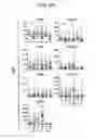 Fig. 07 - Method for diagnosing fibromyalgia syndrome, and kit therefor
