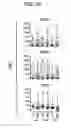 Fig. 08 - Method for diagnosing fibromyalgia syndrome, and kit therefor