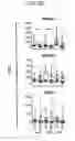 Fig. 11 - Method for diagnosing fibromyalgia syndrome, and kit therefor