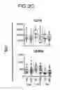 Fig. 13 - Method for diagnosing fibromyalgia syndrome, and kit therefor