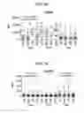 Fig. 17 - Method for diagnosing fibromyalgia syndrome, and kit therefor