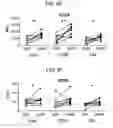 Fig. 26 - Method for diagnosing fibromyalgia syndrome, and kit therefor